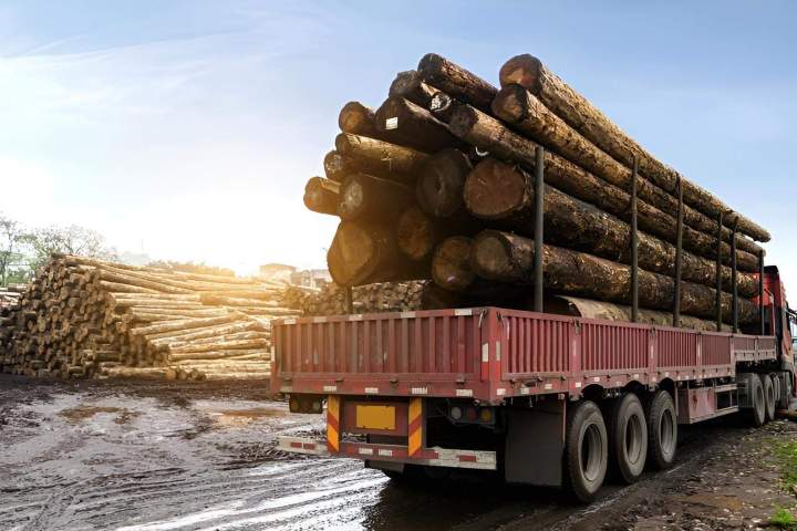 Véhicule de débardage routier Villars-lès-Blamont