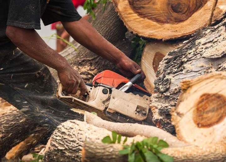 Tronçonneuse Villars-lès-Blamont