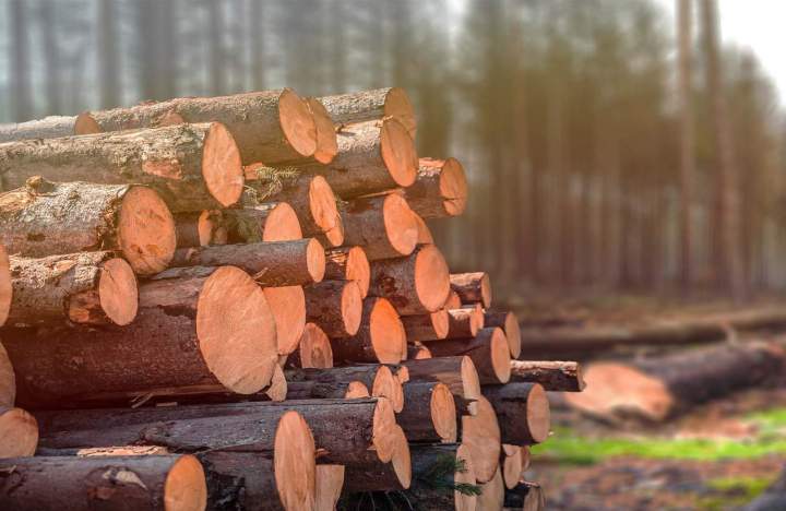 Exploitation forestière durable Villars-lès-Blamont